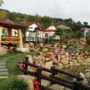 마로니에민박 이미지