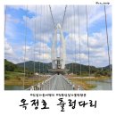 양요정 | 전북 임실 가을 당일 여행 코스모스 국화 꽃구경 가볼만한곳 옥정호 출렁다리 붕어섬