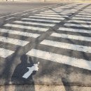 간호과정과비판적사고 | 산부인과 병동 실습 후기 4