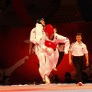 산성태권도체육관 이미지