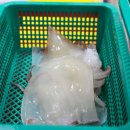 믿음수산 이미지