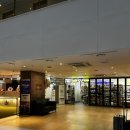 퍼스트 모텔 | [제주도숙소] 서귀포 가성비 호텔 추천 @더퍼스트70 // @신신호텔 천지연