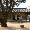 봉두1구 | [글과 사진-행원 전제만이사]경주 함월산 기림사 주변 풍경