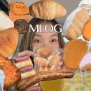 미현 Daum카페