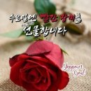 양띠방(출부)7월05일 수 ♤소중한인연♤ 이미지