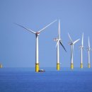 정도태양광발전소 이미지