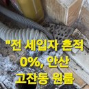 개운빨래나라크리닝 | "전 세입자 흔적 0%, 안산 고잔동 원룸 입주청소 디테일의 차이"