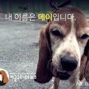 이병천농장 이미지