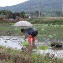 금산28세천 이미지