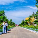 국화공원 이미지