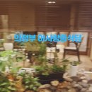 아사랑해물짬뽕 이미지