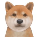 리커버플러스 이미지