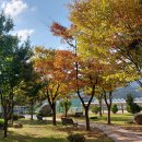 양주중학교 이미지