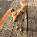 오션스테이 D 이미지