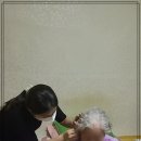 그린보청기 의료기 인천주안센터 이미지