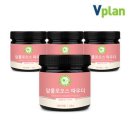 플랜브이 이미지