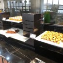 고메팔레스 이미지