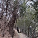 코오롱호텔 가든골프장 이미지