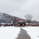 데굴데굴 이미지