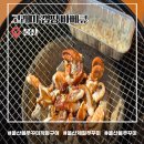 생각 톡톡 보드게임 교실 | 울산 봄쭈꾸미 고래미 캠핑 바베큐 제철음식을 함께 즐기는 공간