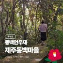 영화마을 버스정류장(40425) | 제주동백마을 2박3일 동백언우재 리부트 힐링여행