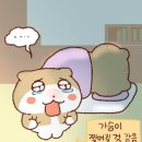 J-0411 | 국내외 바쁘게 움직인 2025년 상반기 기록🧸 | 2025.01-04