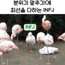개소리펫샵 | 5월 여행, 6월 인생, 어쩌다 7월까지•••