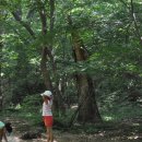 조각공원앞 1 이미지