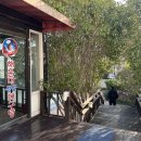 해운대싱싱대구탕 이미지