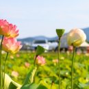 선덕여고앞 이미지