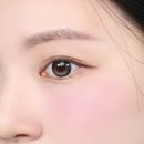 핑크피그 - 포항시 남구 중흥로 77 | 어바웃톤 스킨레이어핏 블러셔 컨실블러셔 페탈핑크 뮤트모브 피그듀 발색후기