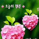 오늘의 행복 Daum카페