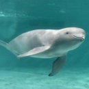 [11/03] SNS 온라인마케팅 이미지