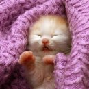 소곤소곤 이미지