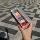 [파리여행] 7일차(1) 베르사유궁전/거울의방,라뒤레,안젤리나,베르사유정원피크닉