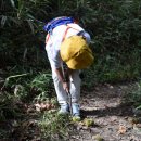 천왕봉가는길에 이미지