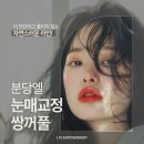 분당성형외과 유명한곳, 눈성형은 엘 성형외과에서