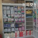 퍼피캣동물병원 | 안산동물병원 퍼피캣동물병원 안산의 믿을 수 있는 선택