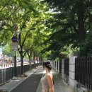 블룸헤어(BLOOM HAIR) | 에트오소메 X 센티멍 콜라보 Bloom Stem Hairpin 후기
