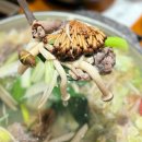 파동버섯칼국수