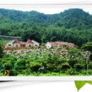 마녹펜션 이미지