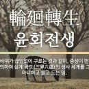 소마니 이미지