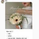 고가네며느리 네이버블로그
