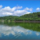 자연공원 네이버블로그