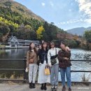 3박 4일 친구들과 여행 Day 2(1) : 유후인 당일치기 유노치보거리 미피샵 긴린코호수 플로랄빌리지