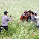 부부로2 이미지