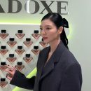 포인트 무드 이미지