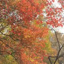 개울과 사람들 이미지