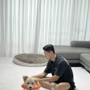 로이덕