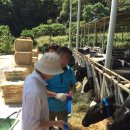 이철목장 이미지